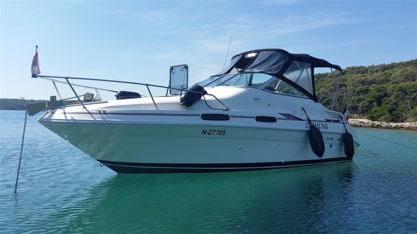 Sea Ray 230 1993 (9)
